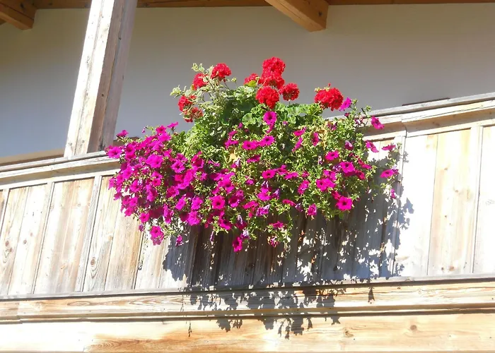 In Niederndorf Near Skiwelt Lift