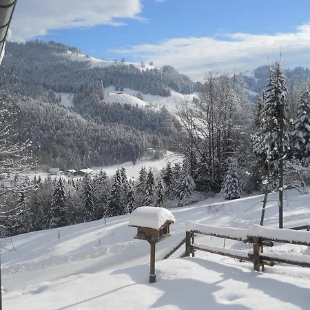 In Niederndorf Near Skiwelt Lift 샬레 Niederndorferberg