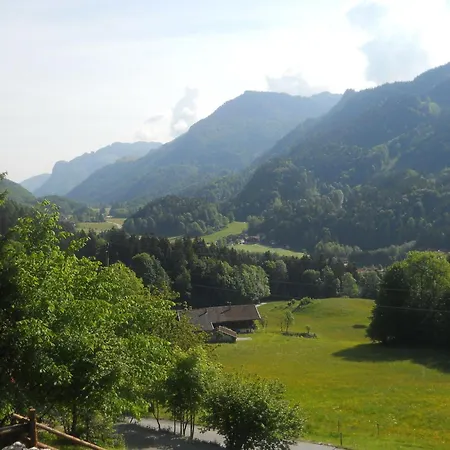 In Niederndorf Near Skiwelt Lift 샬레