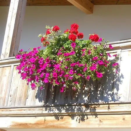In Niederndorf Near Skiwelt Lift
